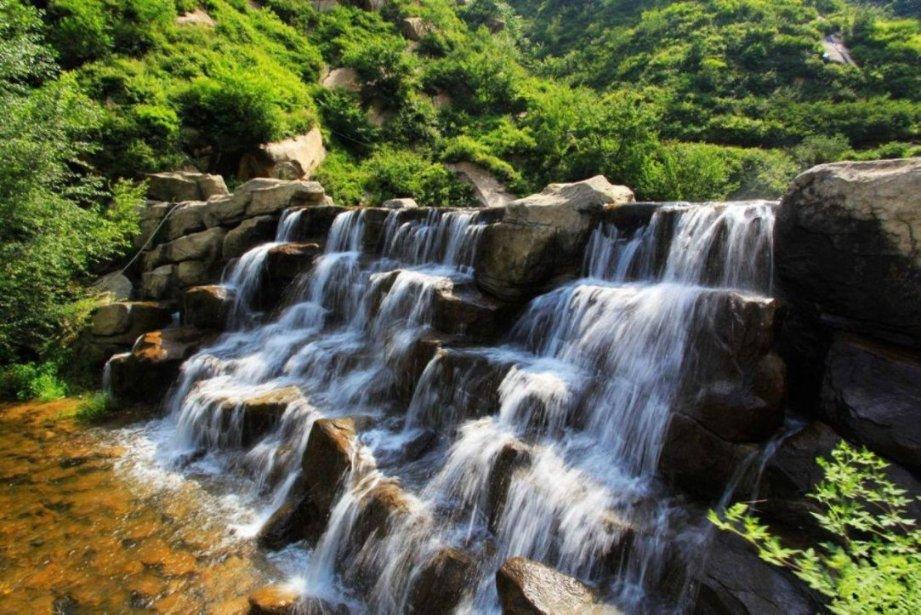 春雨直播app